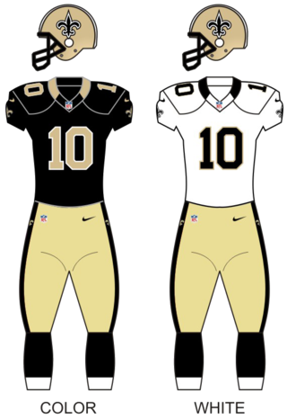 <span class="mw-page-title-main">2010 New Orleans Saints season</span> NFL team season