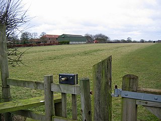 <span class="mw-page-title-main">Thwing, East Riding of Yorkshire</span> Village in the East Riding of Yorkshire, England