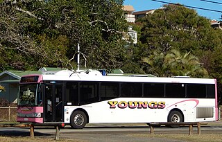 <span class="mw-page-title-main">Young's Bus Service</span>