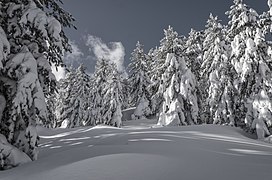 Winter scene in the Pelister National Park