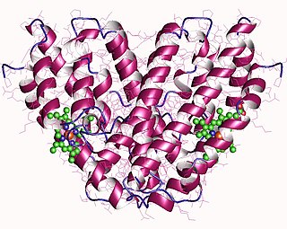 <span class="mw-page-title-main">Heme oxygenase</span> Class of enzymes