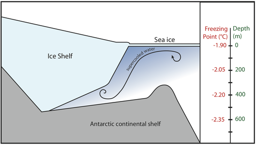 Ice shelves can cause the formation of supercooled seawater and anchor ice.