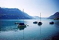 Brienzersee im Herbscht