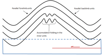 Figure 3. Disharmonic folding of a detachment fold using a symmetric geometric fold as a model. As compression develops, space issues arise in the anticlinal core. To accommodate these space issues folding becomes tighter within the inner units, creating a disharmonic fold geometry. Disharmonic Folding.png