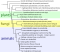 Phylogenetic Tree