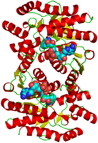 <span class="mw-page-title-main">Malate dehydrogenase</span> Class of enzymes