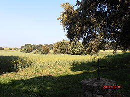 Lliçà d'Amunt - Sœmeanza