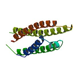 Apolipoproteïne E