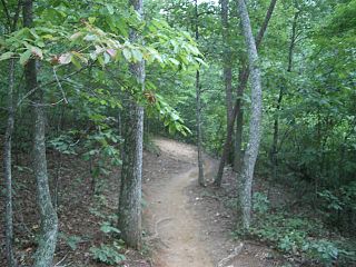 <span class="mw-page-title-main">Single track (mountain biking)</span> Narrow mountain biking trail