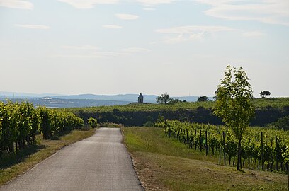 La route entre les vignes menant à la chapelle.