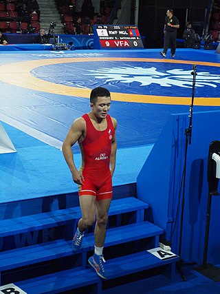 <span class="mw-page-title-main">Yevgeny Zherbaev</span> Russian freestyle wrestler