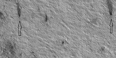 Plumes and spiders, as seen by HiRISE under HiWish program