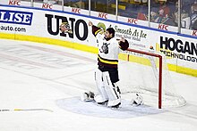 Photographie couleur d'un joueur de hockey sur glace