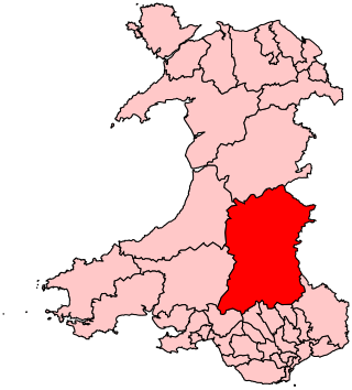 <span class="mw-page-title-main">Brecon and Radnorshire (UK Parliament constituency)</span> UK Parliamentary constituency, 1918–2024