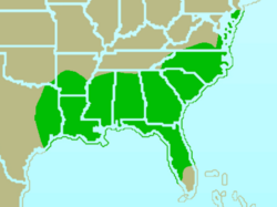 Distribución de S. pusilla