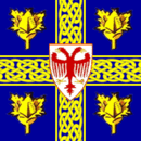 Drapeau de Leskovac