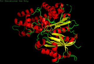 Binding site Molecule-specific coordinate bonding area in biological systems