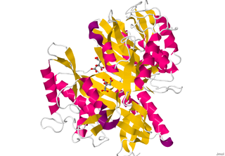 <span class="mw-page-title-main">Glutaminase</span>