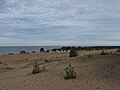 Strand bij Kalajoki