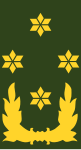 Nederländerna, armén