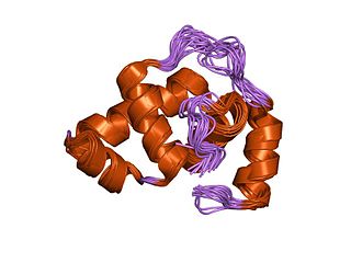 <span class="mw-page-title-main">LuxR-type DNA-binding HTH domain</span>