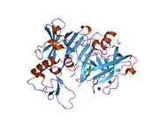 PDB 2oht EBI.jpg