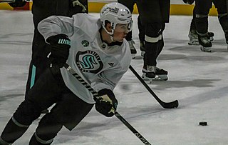 <span class="mw-page-title-main">Ryan Donato</span> American ice hockey player