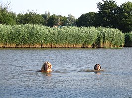 Een zwemplas in Spaarnwoude