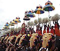 Kuda Mattam during Thrissur pooram festival.