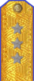 погоны 1943