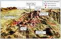 Map of Anaconda operations