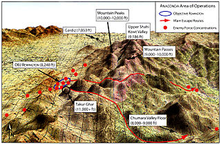 <span class="mw-page-title-main">Battle of Takur Ghar</span> 2002 battle of the War in Afghanistan, between U.S. and al-Qaeda forces