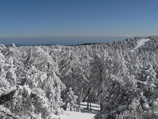 <span class="mw-page-title-main">Troodos Mountains</span> Mountain range in Cyprus