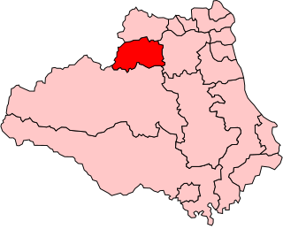 <span class="mw-page-title-main">Consett (UK Parliament constituency)</span> Parliamentary constituency in the United Kingdom, 1918–1983