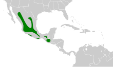 Empidonax affinis map.svg