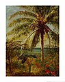 Palm Tree, Nassau by Albert Bierstadt, after 1877