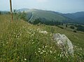 Táj a Kopaonikban 1700 m-es tengerszint feletti magasságban