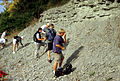 Outcrop of Upper Ordovician rubbly limestone and shale, southern Indiana