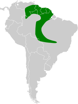 Distribución geográfica del verdillo atrapamoscas.