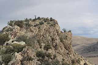 <span class="mw-page-title-main">Phosphoria Formation</span> Geologic formation in the northwestern United States