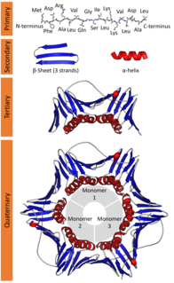 Protein structure Three-dimensional arrangement of atoms in an amino acid-chain molecule