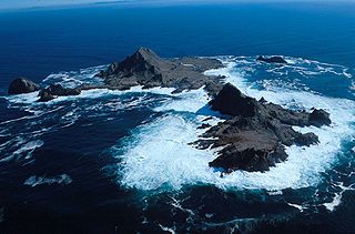 <span class="mw-page-title-main">Farallon Islands</span> Group of islands off the coast of California, United States