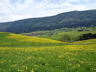 <span class="mw-page-title-main">Pontenet</span> Former municipality in Bern, Switzerland