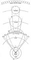 Keplerův nákres uspořádání sluneční soustavy (Mysterium Cosmographicum)