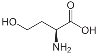 <span class="mw-page-title-main">Homoserine</span> Chemical compound