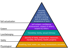 Maslow hierarchy of needs