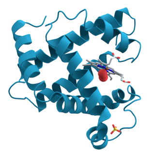 Metabolism Set of life-sustaining chemical transformations within the cells of organisms