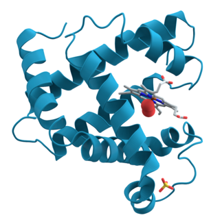 <span class="mw-page-title-main">Outline of biochemistry</span> Overview of and topical guide to biochemistry