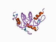 PDB 1a1i EBI.jpg