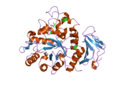 PDB 2dh2 EBI.png